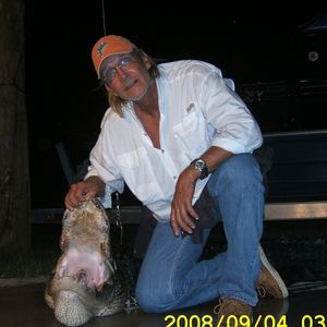 Meet your Posher, George